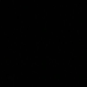 Meet your Posher, Audrey